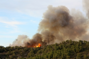 Imatge d'arxiu d'un incendi forestal