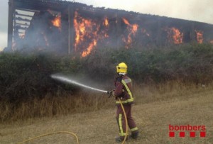 Un bomber treballa per extingir les flames del paller que crema a Santa Coloma de Queralt. Foto: ACN